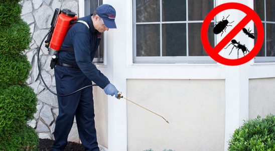 Bünyan Böcek ve Haşere İlaçlama böcek ilaçlama ve haşere kontrolü — ilaclama-tr.com